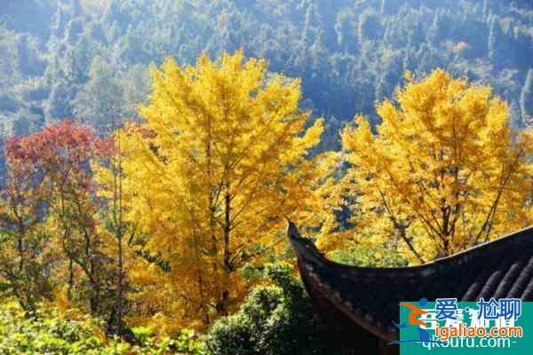 張家界黃龍洞景區(qū)彩葉最佳觀賞期? 張家界黃龍洞景區(qū)彩葉最佳觀賞期?