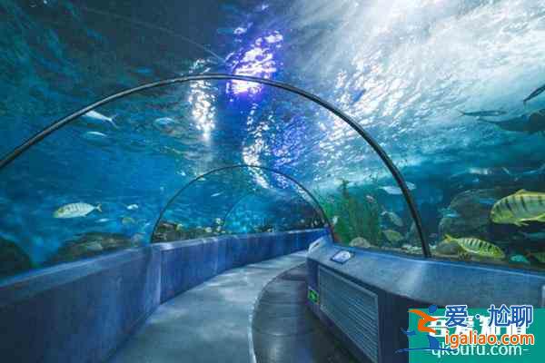 2021重慶漢海海洋公園開(kāi)放了嗎？
