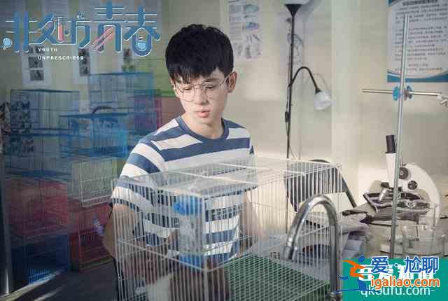 爆款劇非處方青春,題材新穎立意充滿正能量,八位主演深入人心? 爆款劇非處方青春,題材新穎立意充滿正能量,八位主演深入人心?