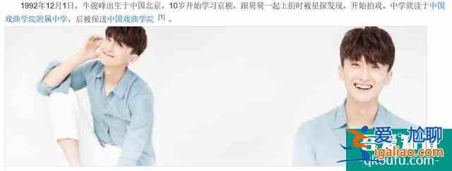 《二十不惑》：趙優秀，你為什么離紅總差一步？？