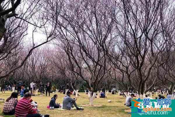 廣州春季哪里好玩 廣州春季旅游的好去處？