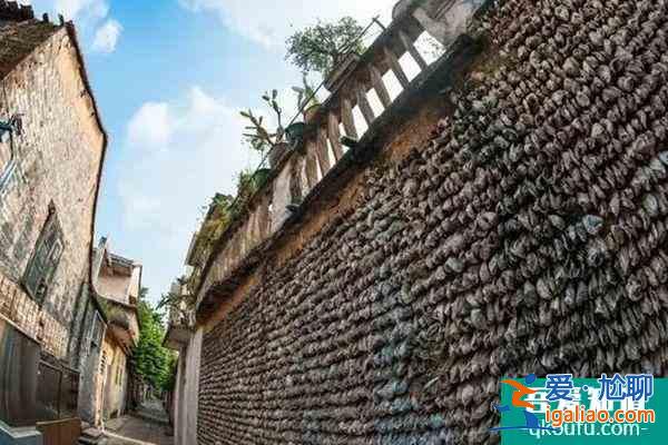 廣州春季哪里好玩 廣州春季旅游的好去處？