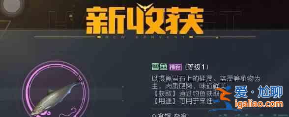 拂曉去哪里抓香魚？