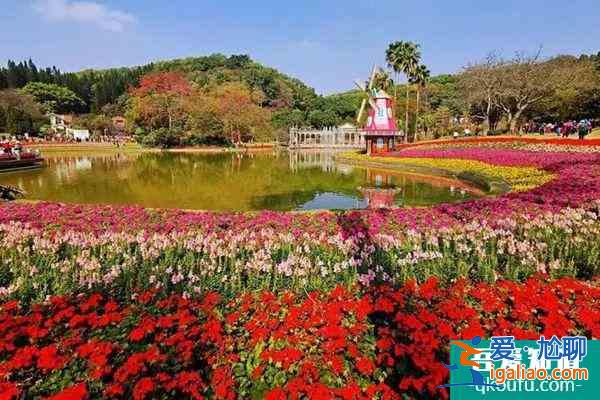 2022春節(jié)廣州云臺花園主題花展門票多少錢 好玩嗎？