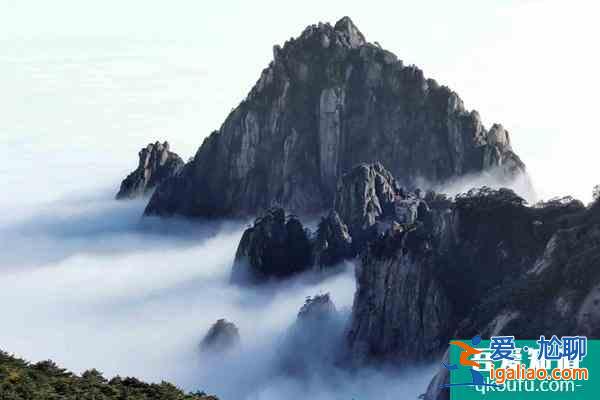 2021年底前將取消12301旅游投訴電話 并入12345？