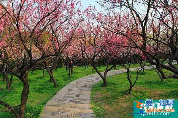 2022武漢春節活動匯總？