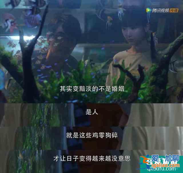 三十而已，為何天天上熱搜？？
