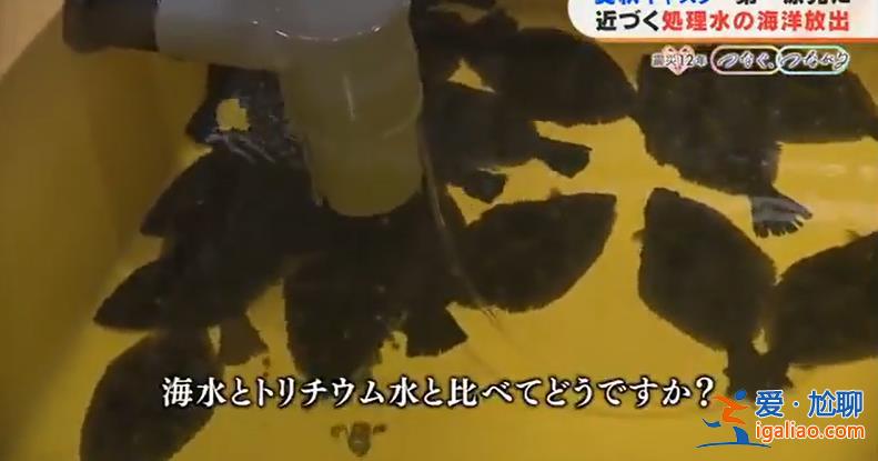 核污水儲水箱即將飽和 機組建筑鋼筋裸露？