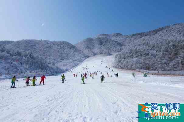 2021阿勒泰將軍山滑雪場免費滑雪活動時間？