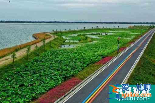 無錫網紅步道有哪些? 無錫網紅步道有哪些?