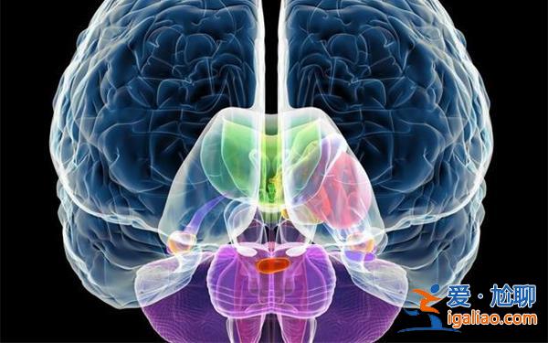 40歲以后少吃這4樣東西可以預防腦梗[預防腦梗]？