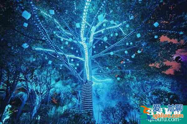 2022成都春節(jié)活動有哪些 活動詳情介紹？