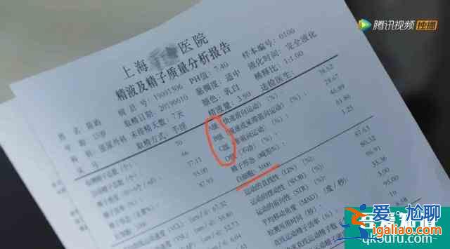 《三十而已》：鐘曉芹和陳養魚可能去了一個假醫院？