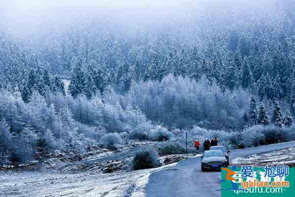重慶周邊玩雪攻略 重慶周邊看雪的旅游景點(diǎn)？