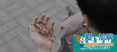 幽靈列車，超時(shí)空追兇，韓劇又放大招了？