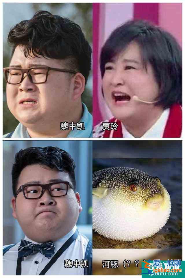 《抬頭有星光》堪稱年度撞臉大劇:袁姍姍藍盈瑩喬振宇歡迎來找茬？