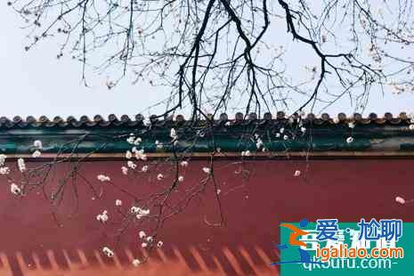 清明節(jié)故宮開放嗎 清明節(jié)故宮賞花攻略? 清明節(jié)故宮開放嗎 清明節(jié)故宮賞花攻略?