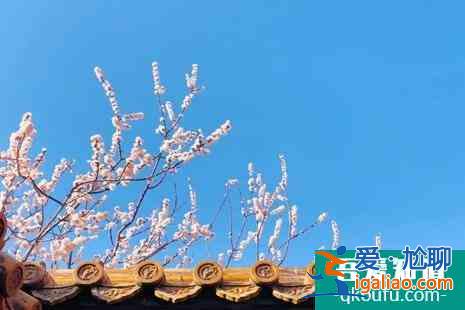 清明節(jié)故宮開放嗎 清明節(jié)故宮賞花攻略? 清明節(jié)故宮開放嗎 清明節(jié)故宮賞花攻略?