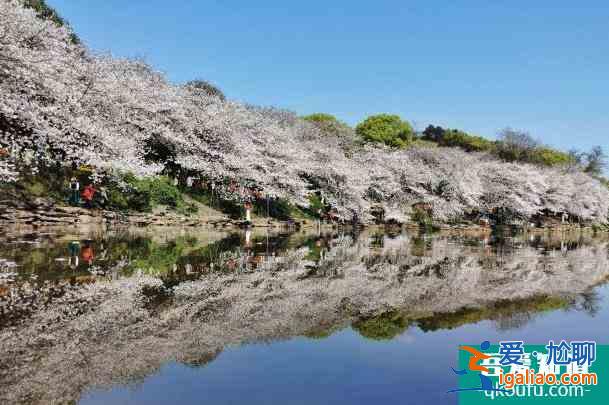 2022長沙元宵節(jié)景區(qū)活動匯總？
