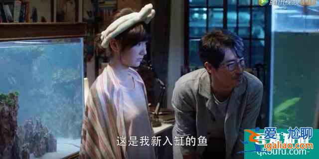 佟麗婭拒演的《三十而已》爆了，網友：多謝她的不演之恩？