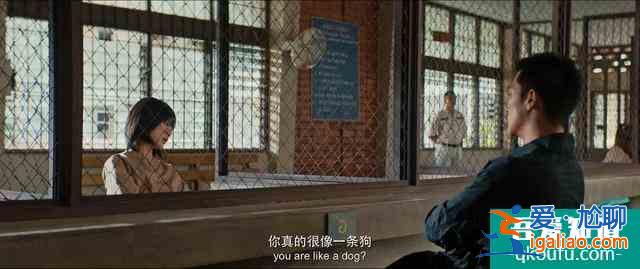 網(wǎng)劇《唐人街探案》成功破圈，林默集偵探、吃貨和撩妹神器于一身？