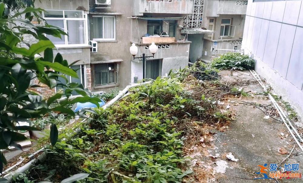 涉事民警為疏忽自責 當事女生被疑誣告很委屈？