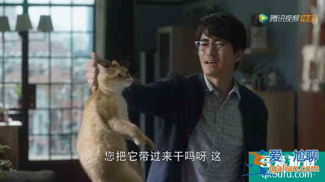 《三十而已》鐘曉芹的一段婚禮誓詞，道出女人向往婚姻的模樣？