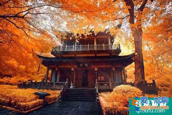 因疫情原因1月18日起南京多個寺廟暫停開放？