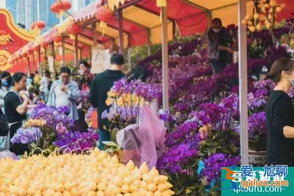 2022廣州越秀西湖花市開放時(shí)間 在哪里舉辦？
