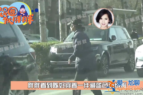 陳好為什么不演戲了 近況曝光現身醫院開藥 女兒陪同情況嚴重引擔憂
