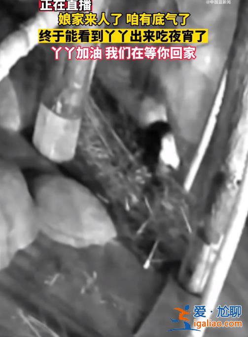娘家來人了 咱有底氣了！？