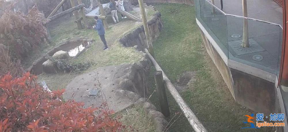 娘家來人了 咱有底氣了！？