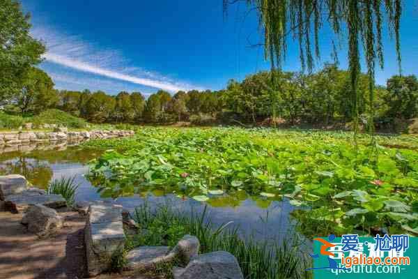 圓明園預約門票入口 圓明園門票多少錢？