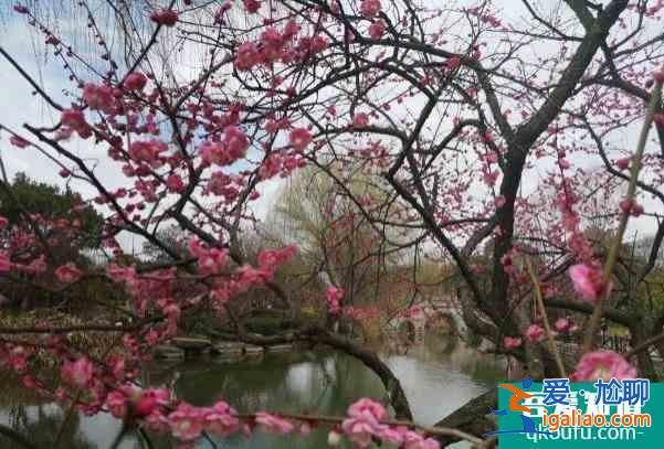2022杭州超山風(fēng)景區(qū)門票價格調(diào)整 冬季賞梅攻略？