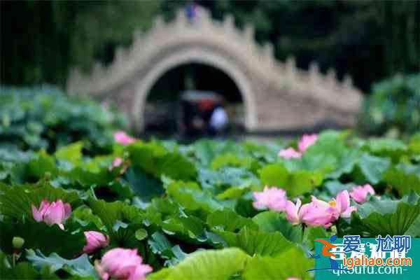 圓明園遺址公園年？