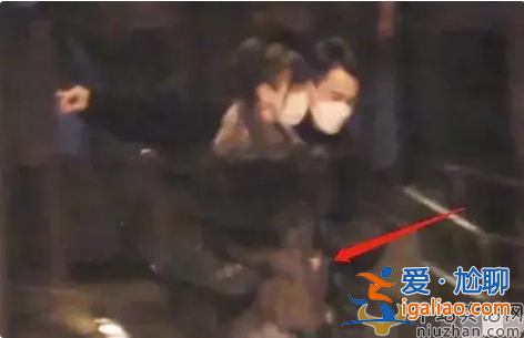 曝劉愷威女友李曉峰懷孕兩月 全家圍著轉小糯米糟冷落，楊冪返港疑奪娃