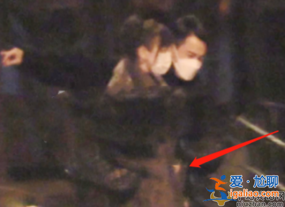 曝劉愷威女友李曉峰懷孕兩月 全家圍著轉小糯米糟冷落，楊冪返港疑奪娃