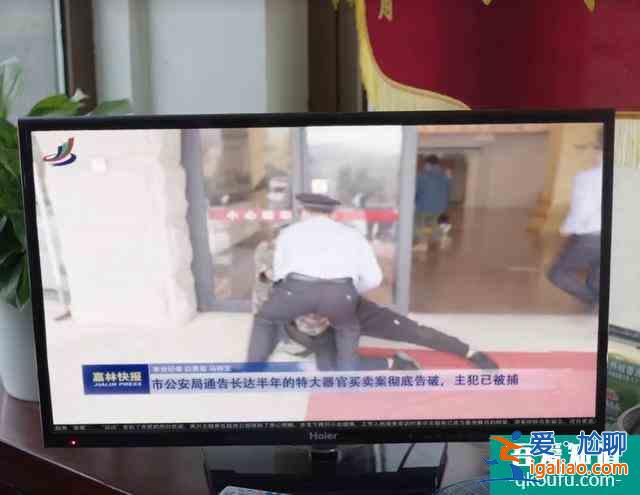 《我是余歡水》：余歡水結局并非完美，所有美好都是余歡水的幻想？