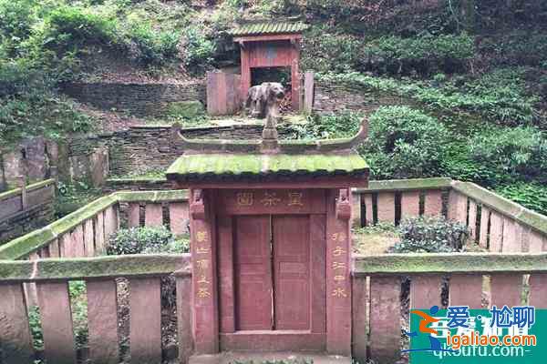 雅安蒙頂山新年虎福免門票活動詳解？