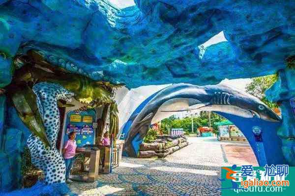 2022福州海洋館哪個最好玩 福州海洋館排行榜？
