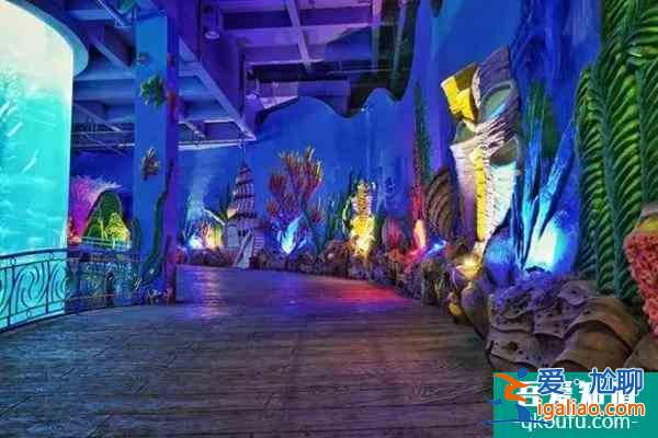 2022福州海洋館哪個最好玩 福州海洋館排行榜？