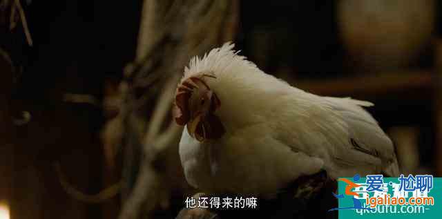 先別著急罵《河神2》，小心被他“真香打臉”？