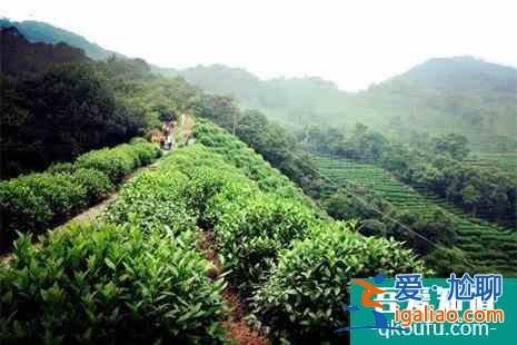 杭州西湖春天登山攻略(附路線)？