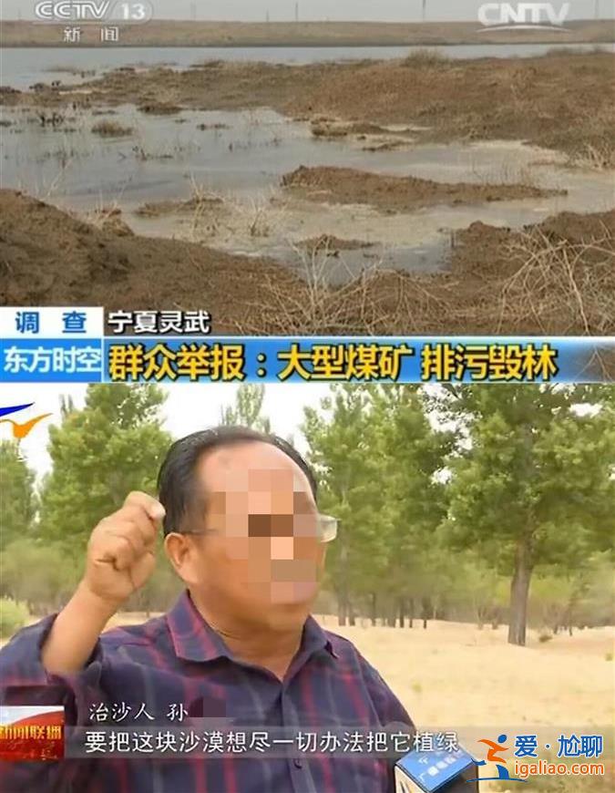 寧夏萬畝樹木被煤礦“斷水”面臨枯死 六旬林場主崩潰跪地 鎮政府回應？