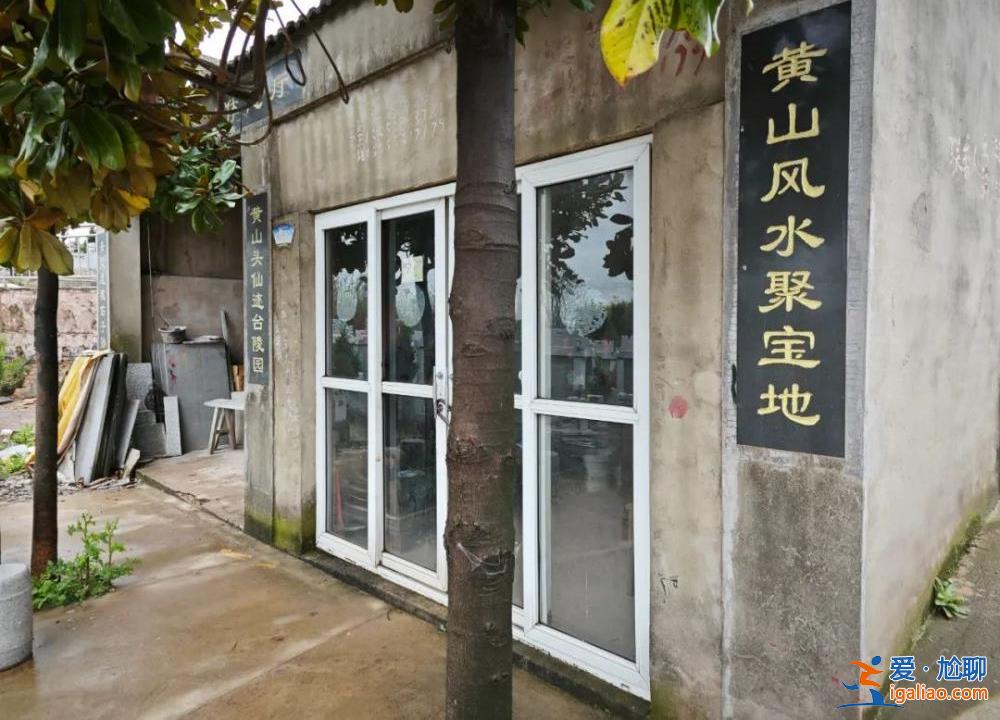 村中集體土地被侵占建墓地售賣 村民多次反映未果？