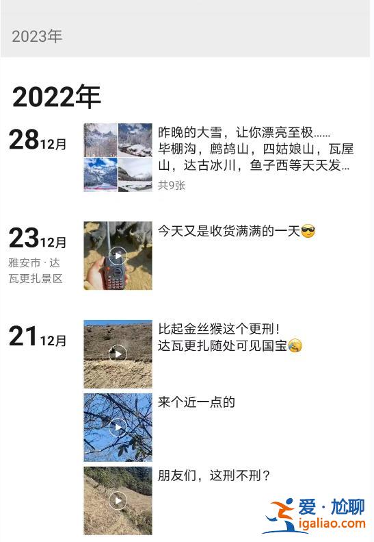 青海發現野生大熊貓？視頻拍攝地實為四川達瓦更扎景區 系村民拍到？