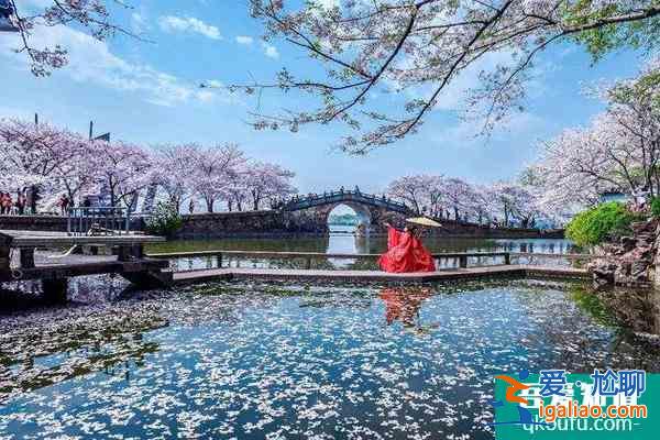 2022無錫黿頭渚櫻花什么時候最好看 黿頭渚櫻花最佳觀賞期？