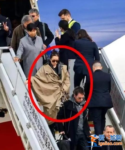 刷屏的鞏俐丈夫 其實是法國“國寶”？