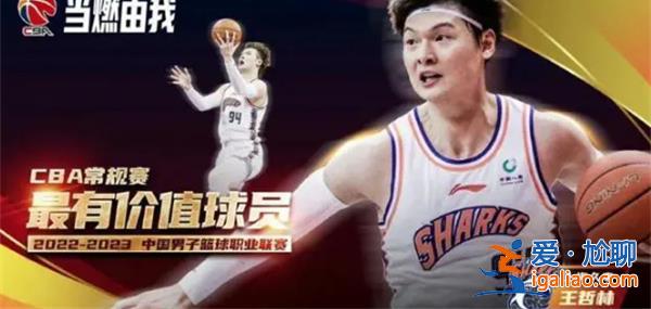 王哲林第二次獲選常規(guī)賽MVP，王世龍當(dāng)選最佳教練員[王世龍]？