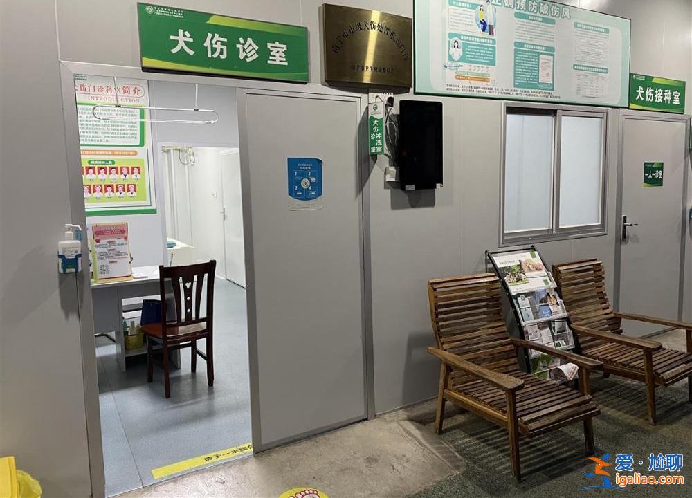 8歲男童被狗抓傷未及時處理 狗死亡5天后他狂犬病發(fā)作最終不幸去世？